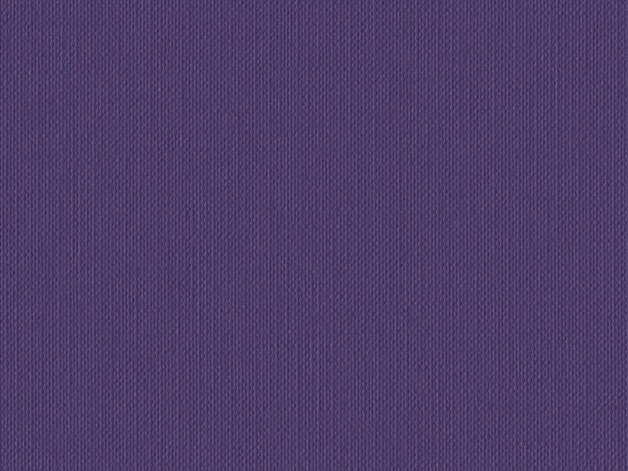 S141N- Amethyst