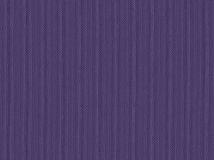 S141N- Amethyst