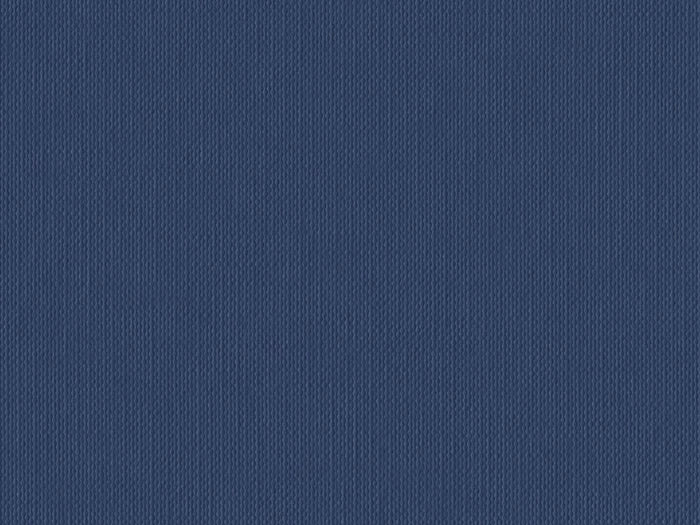 S141H-2- Blueberry