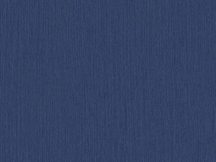 S144H-2- Blueberry