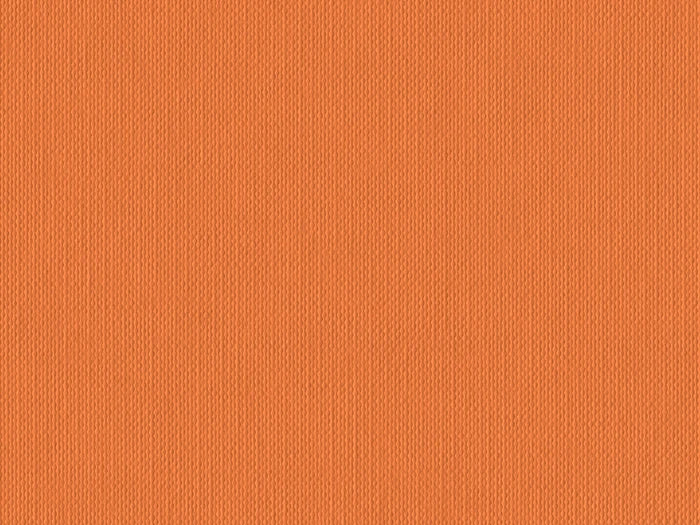 S141O- Mandarin