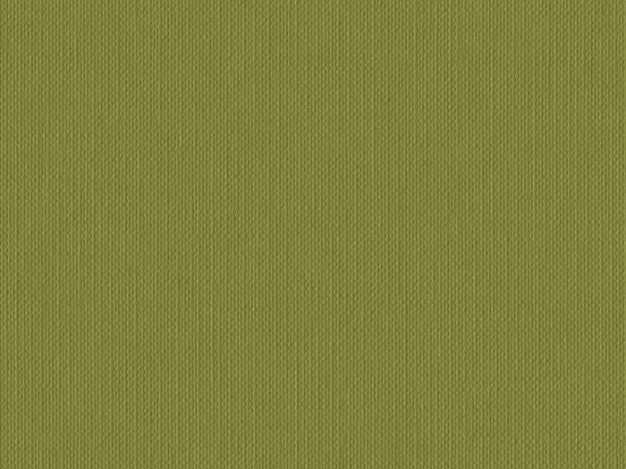 S141Z- Olive