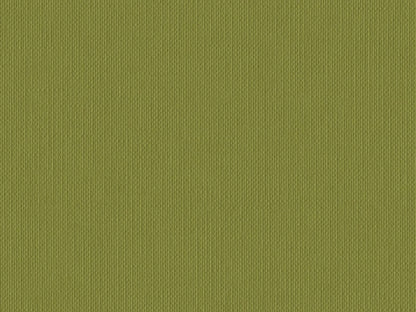S141Z- Olive