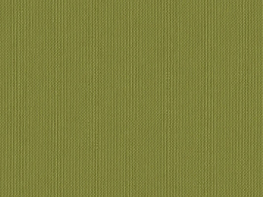 S141Z- Olive