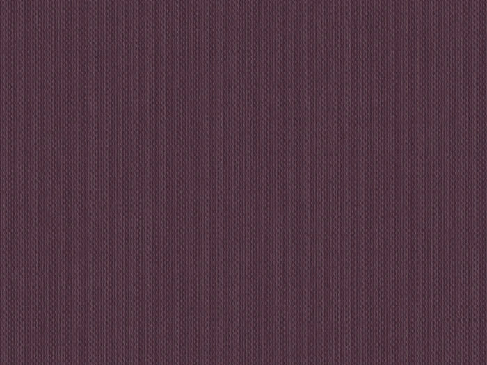 S141F- Plum