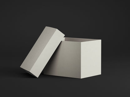 S141Y-2- Pumice