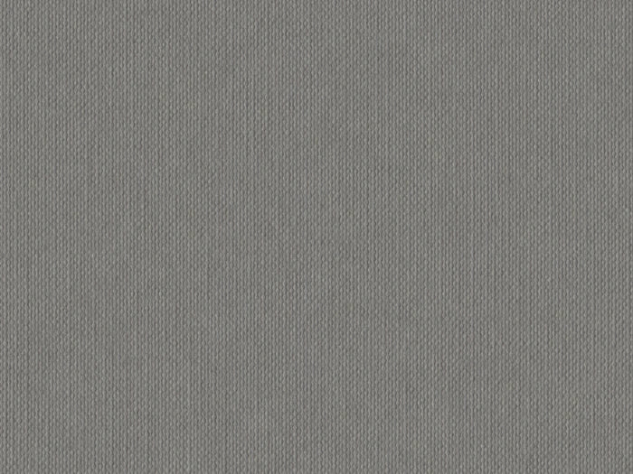 S141Y- Grey