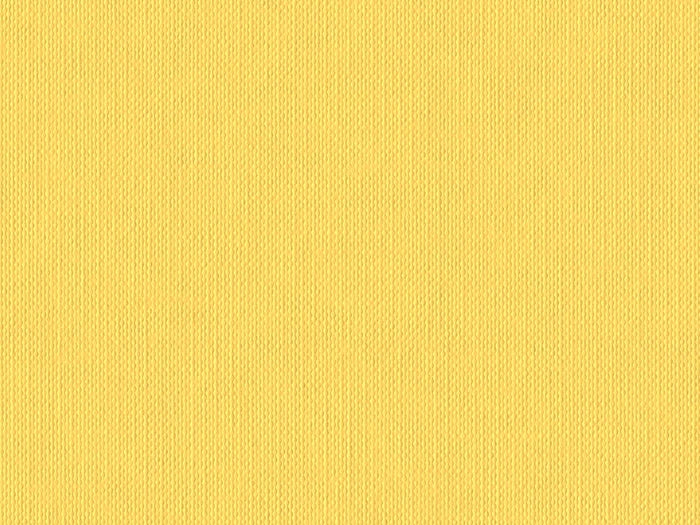 S141P- Sunshine