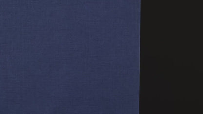 S144H-2- Blueberry