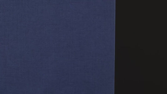 S144H-2- Blueberry