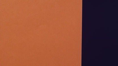 S141O- Mandarin