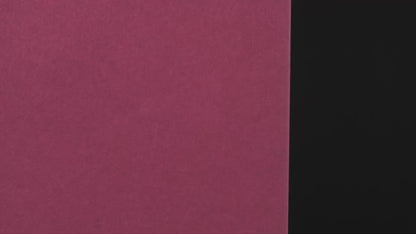 S141D- Raspberry