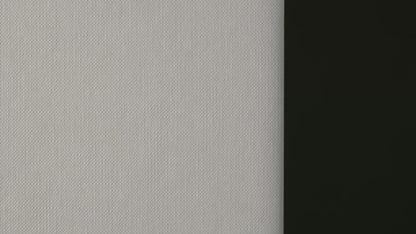 S141Y-2- Pumice