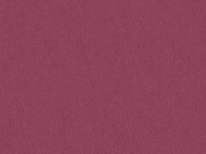 S141D- Raspberry