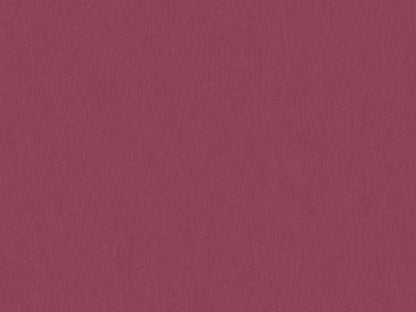 S141D- Raspberry