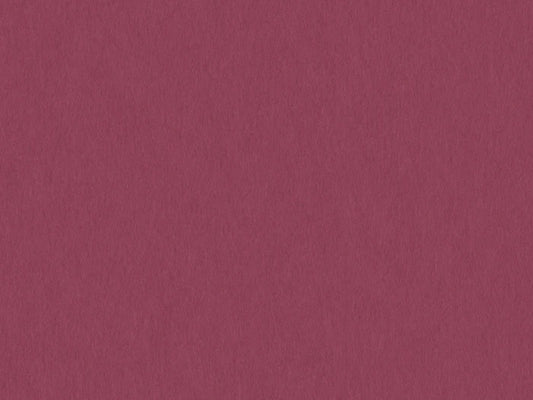 S141D- Raspberry